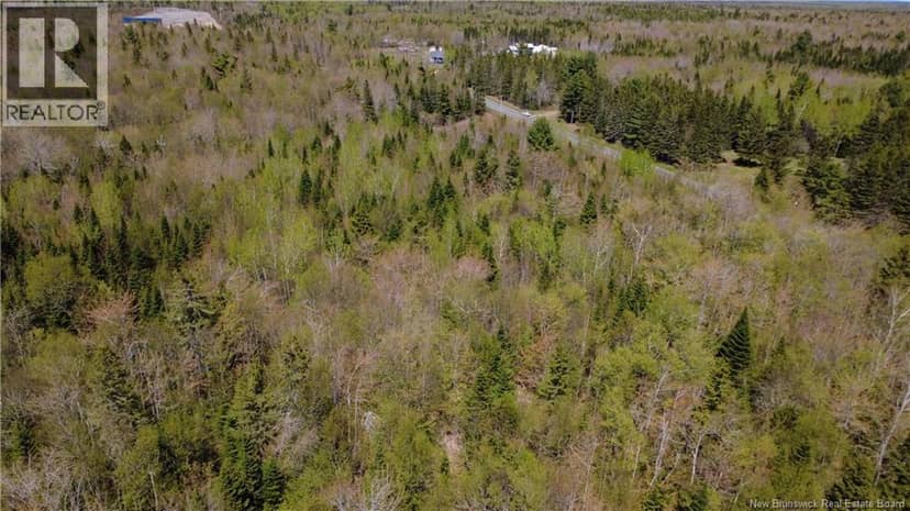 5,036 mc Chemin St-Raymond — photo 4 of 11