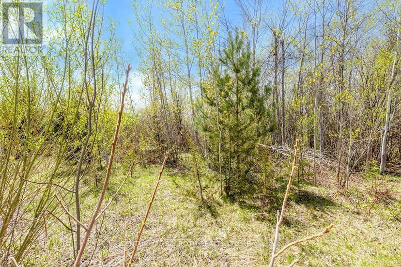 15 Quarry Road — photo 26 of 30