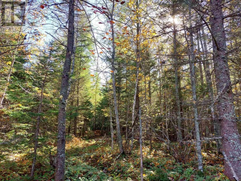 Lot 25 Beaver Lane — photo 16 of 19