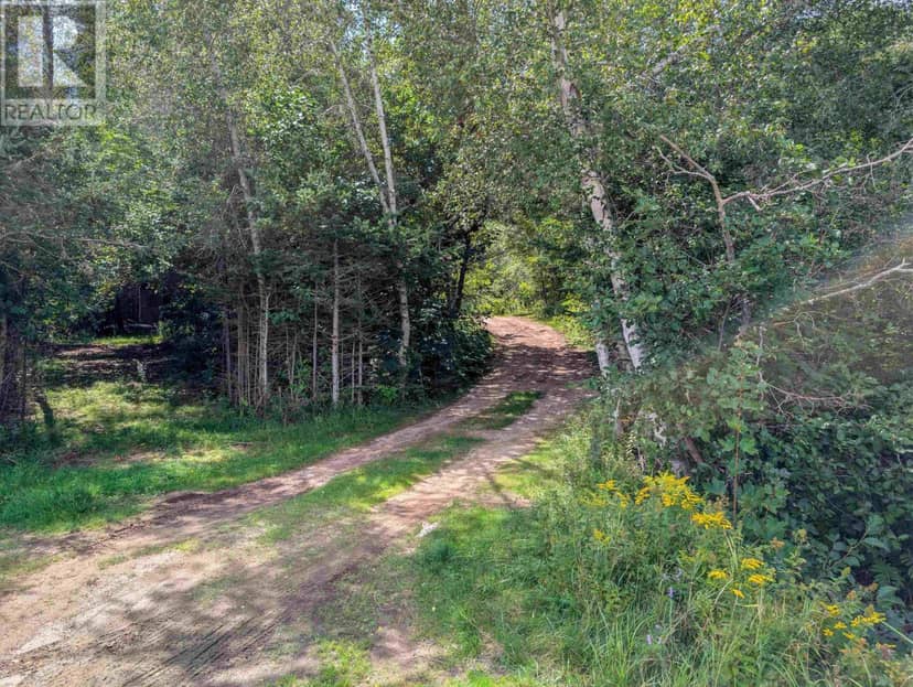 1002 West Dalhousie Road, Lake La Rose, photo 5
