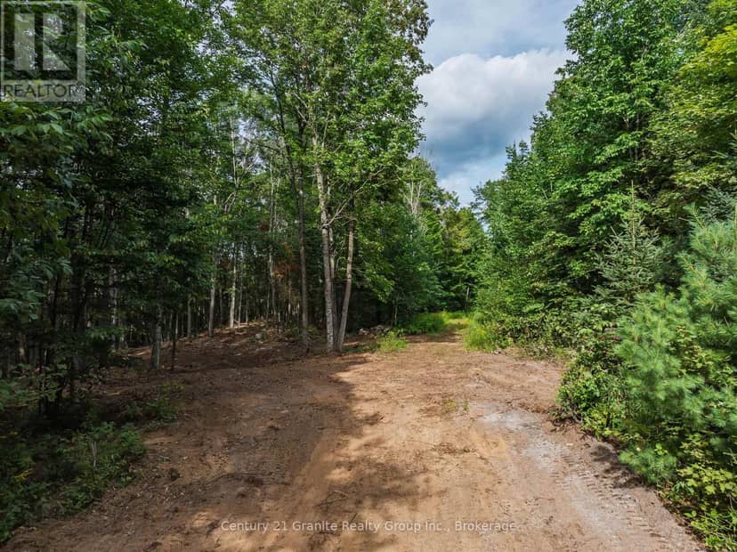 1241 Koshlong Lake Road — photo 11 of 34