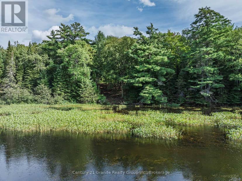 1241 Koshlong Lake Road — photo 5 of 34