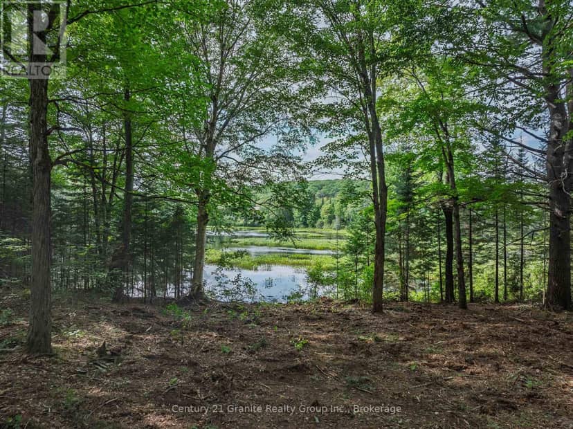 1241 Koshlong Lake Road — photo 7 of 34