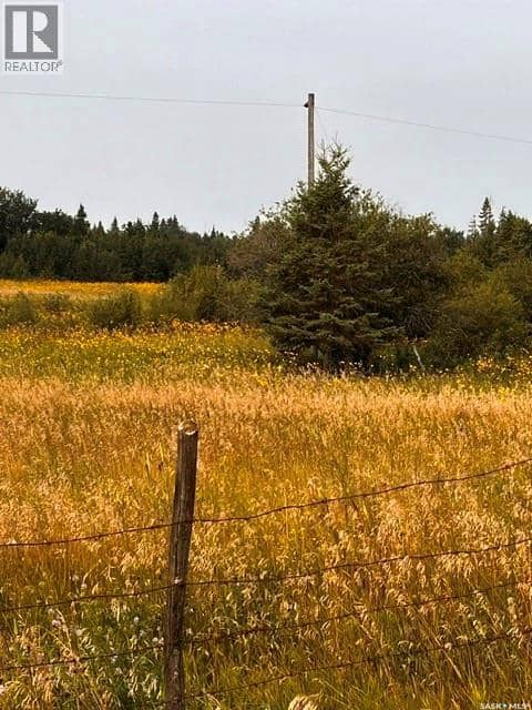 Fries Pasture, Leask Rm No. 464, photo 6