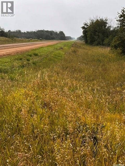 Fries Pasture, Leask Rm No. 464, photo 3