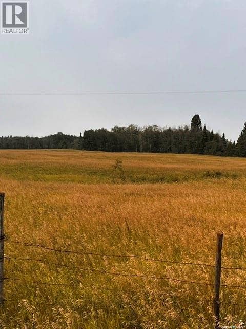 Fries Pasture, Leask Rm No. 464, photo 4