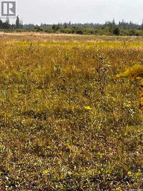 Fries Pasture — photo 14 of 17