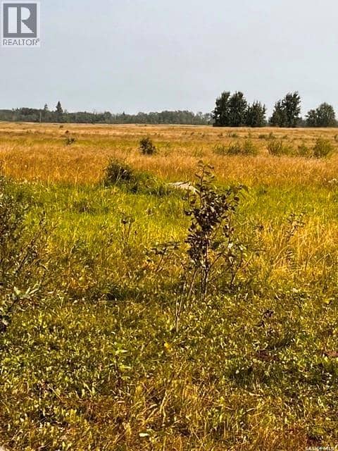 Fries Pasture — photo 17 of 17