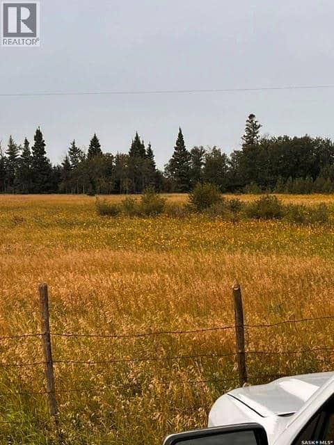 Fries Pasture, Leask Rm No. 464, photo 5