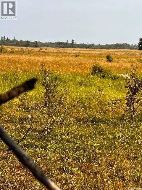 Fries Pasture — photo 16 of 17