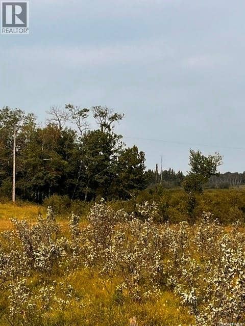 Fries Pasture — photo 12 of 17