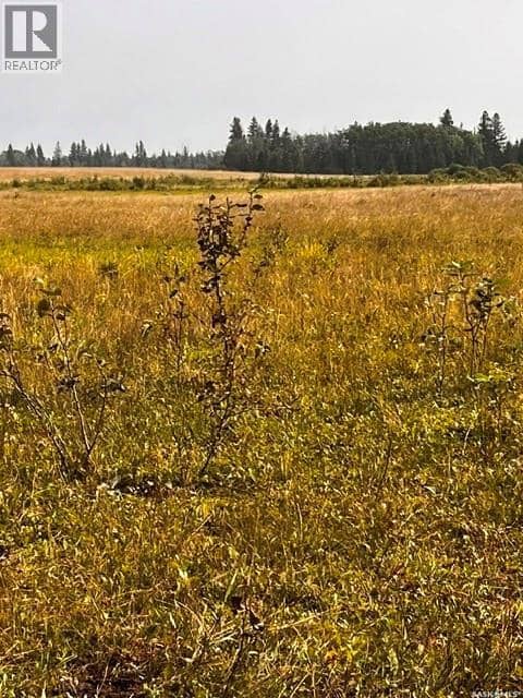 Fries Pasture — photo 15 of 17