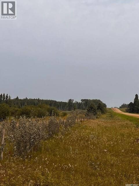 Fries Pasture, Leask Rm No. 464, photo 7
