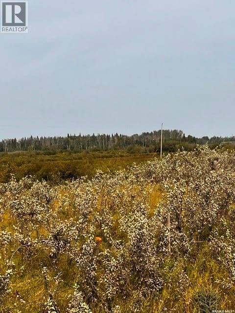 Fries Pasture — photo 13 of 17