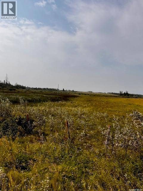 Fries Pasture, Leask Rm No. 464, photo 8