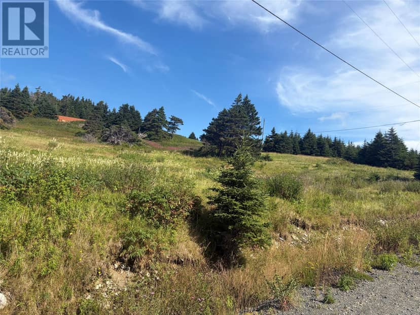 2A Long Path Road — photo 2 of 8