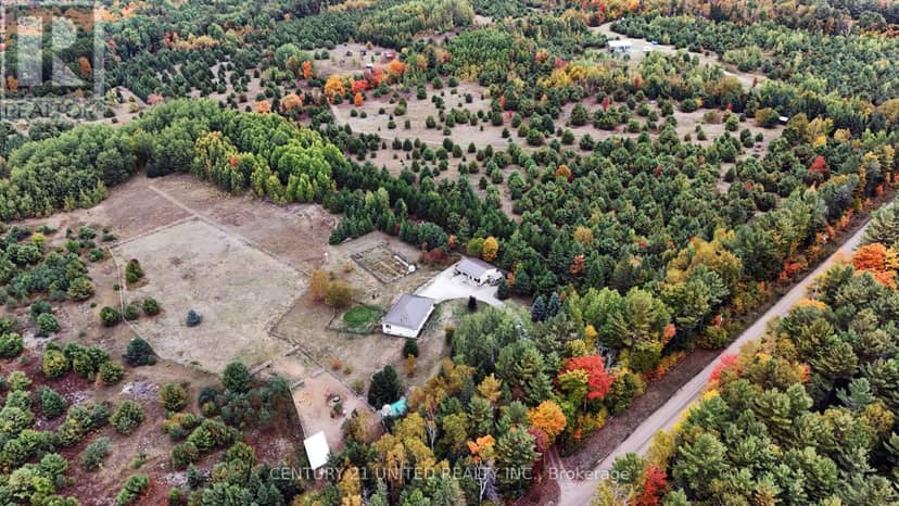 31 McLean Road — photo 38 of 40