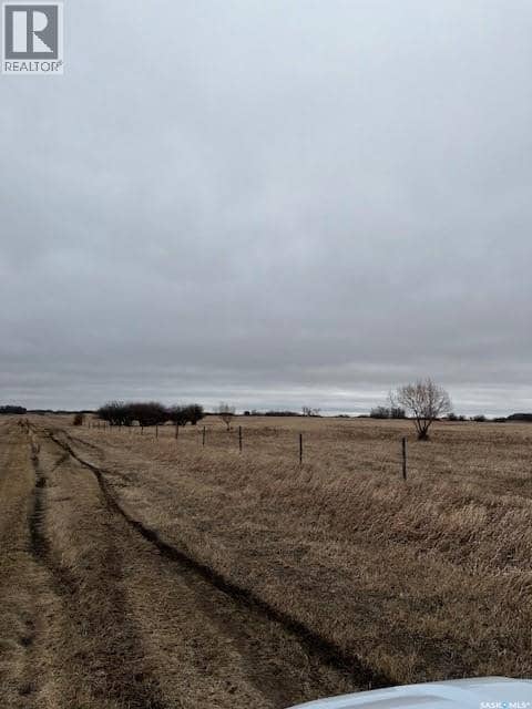 Boire Grazing — photo 13 of 19