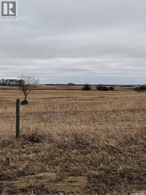 Boire Grazing — photo 6 of 19