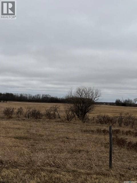 Boire Grazing — photo 10 of 19