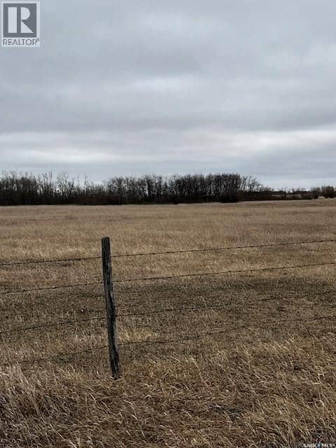 Boire Grazing — photo 15 of 19