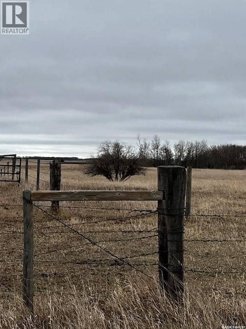 Boire Grazing — photo 16 of 19