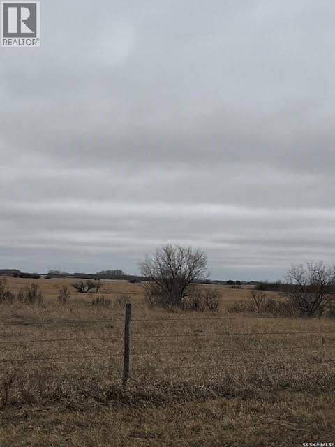 Boire Grazing — photo 9 of 19