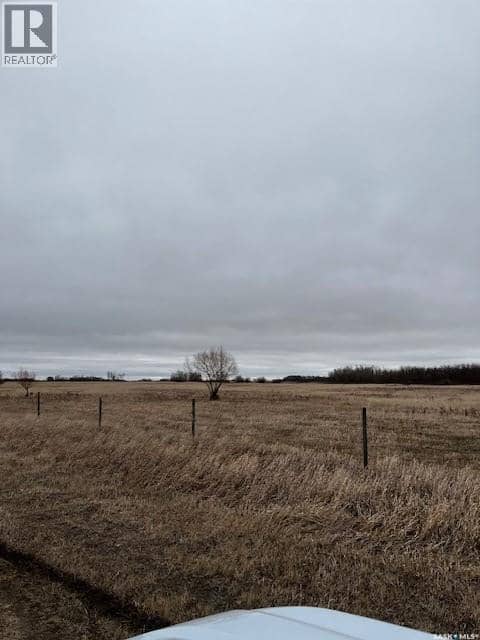 Boire Grazing — photo 12 of 19