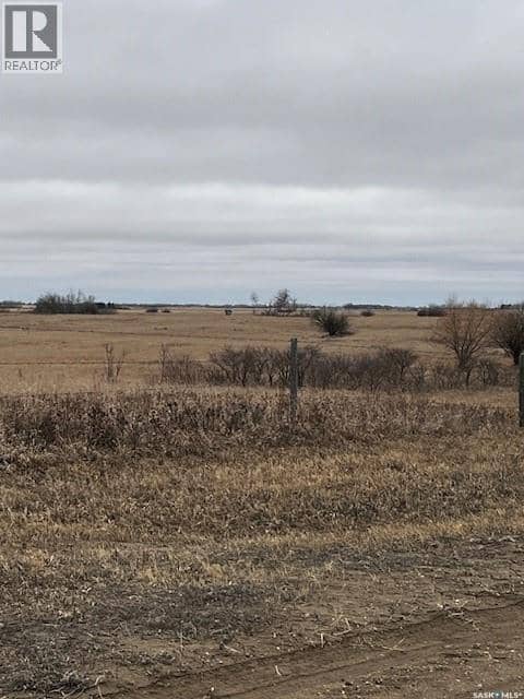 Boire Grazing — photo 7 of 19