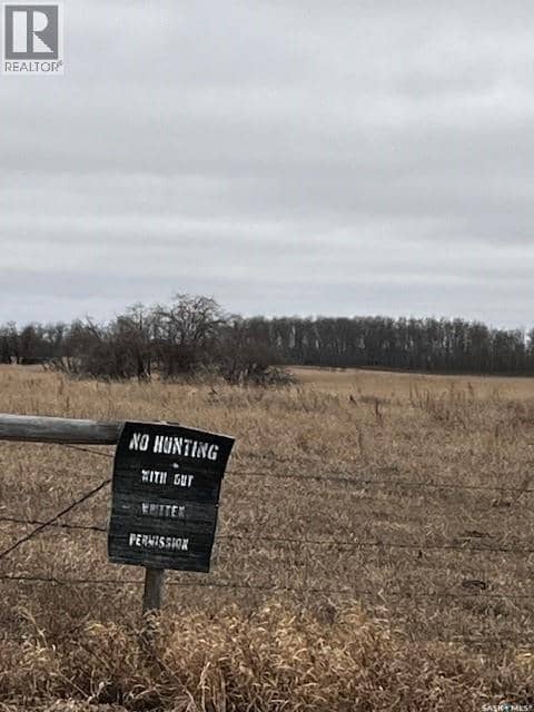 Boire Grazing — photo 4 of 19