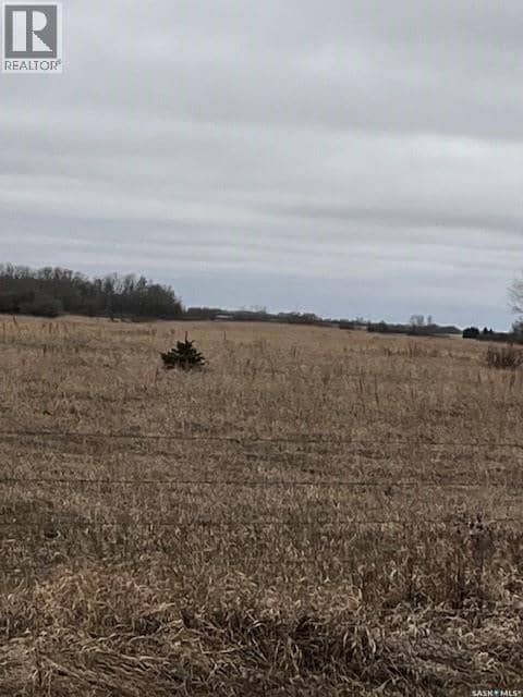 Boire Grazing — photo 5 of 19