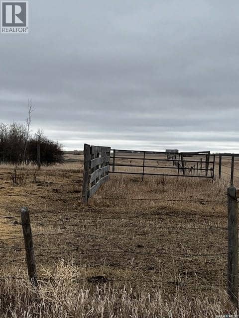 Boire Grazing — photo 17 of 19