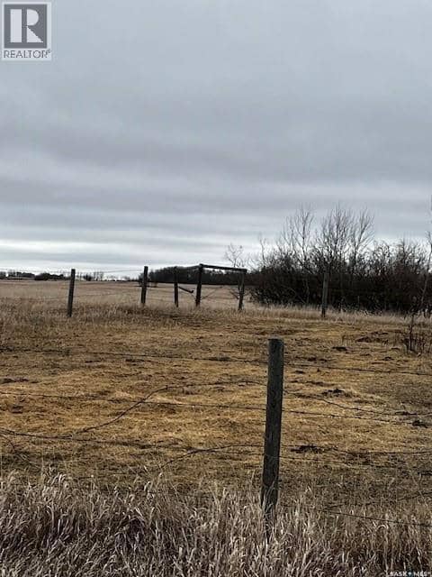 Boire Grazing — photo 18 of 19