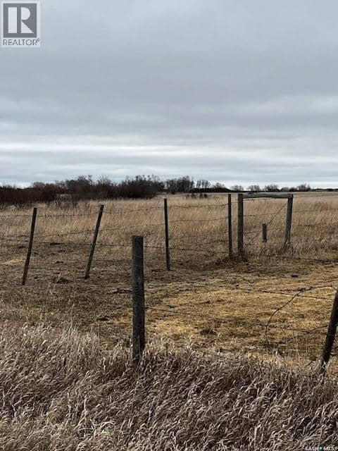 Boire Grazing — photo 2 of 19