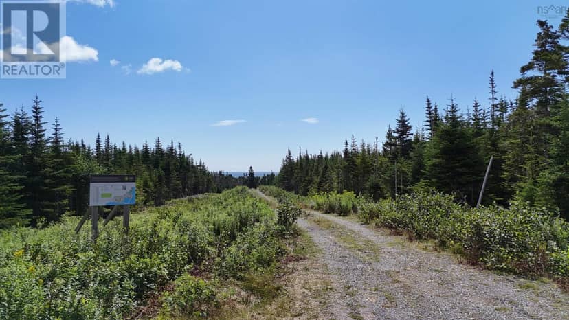 Lot 15 East Side Grand River Road, Grand River, photo 2