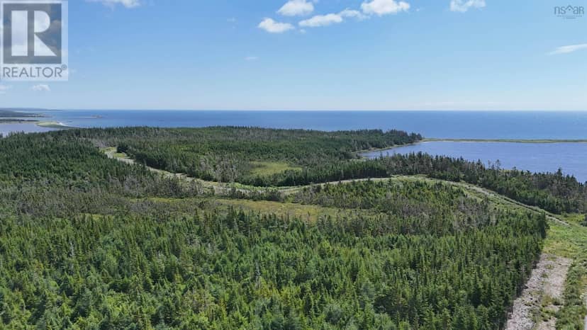 Lot 15 East Side Grand River Road, Grand River, photo 5