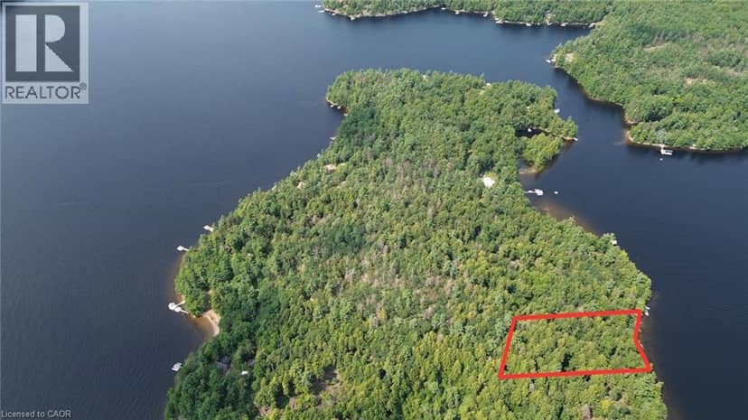 0 BLADE GOLD LAKE Island — photo 3 of 13