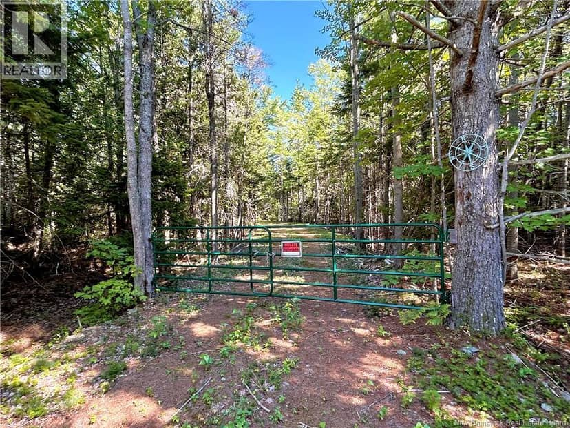 8.25 Acres Pointe au Sable Road, Baie-Sainte-Anne, photo 7