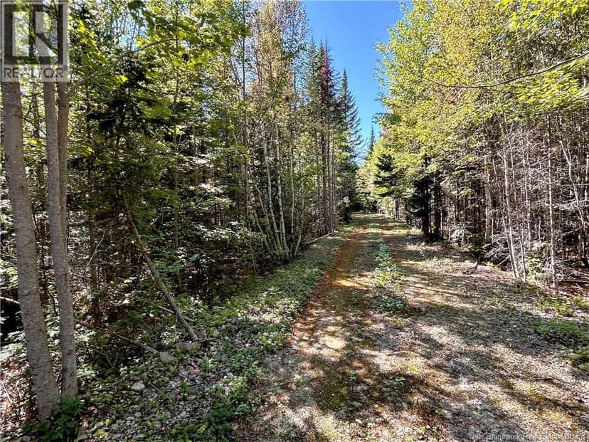 8.25 Acres Pointe au Sable Road, Baie-Sainte-Anne, photo 6