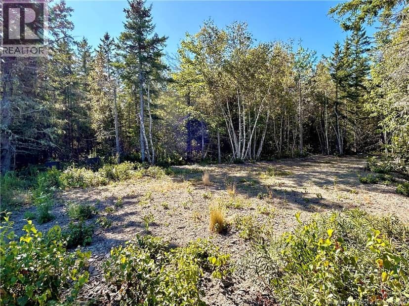 8.25 Acres Pointe au Sable Road, Baie-Sainte-Anne, photo 4