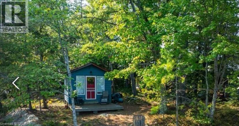 431 Healey Lake — photo 2 of 13