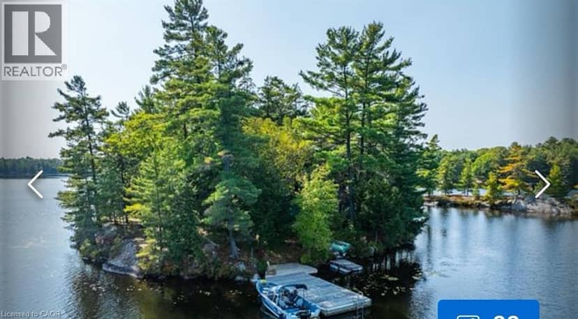 431 Healey Lake — photo 3 of 13