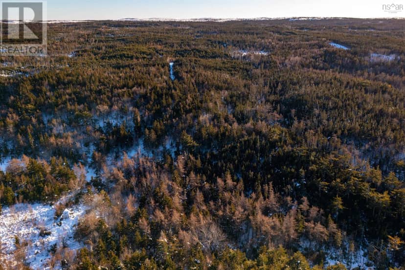 Peas Brook, 16 Highway — photo 17 of 24