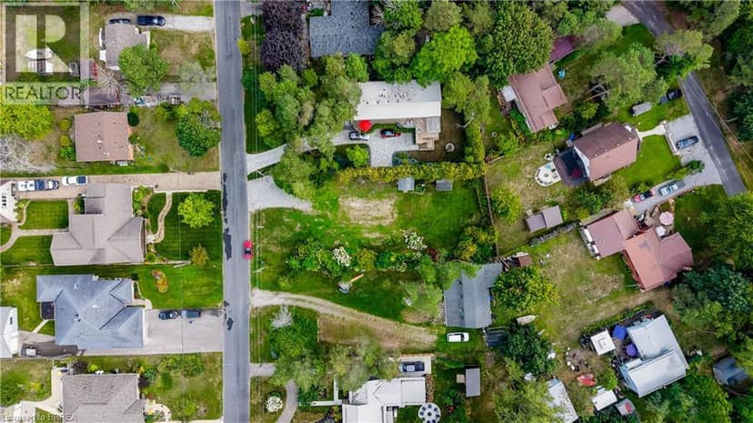 7 OLD CUT Boulevard — photo 8 of 24