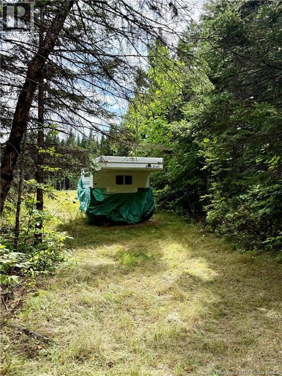 Camp & Lot Nortondale Road — photo 11 of 40