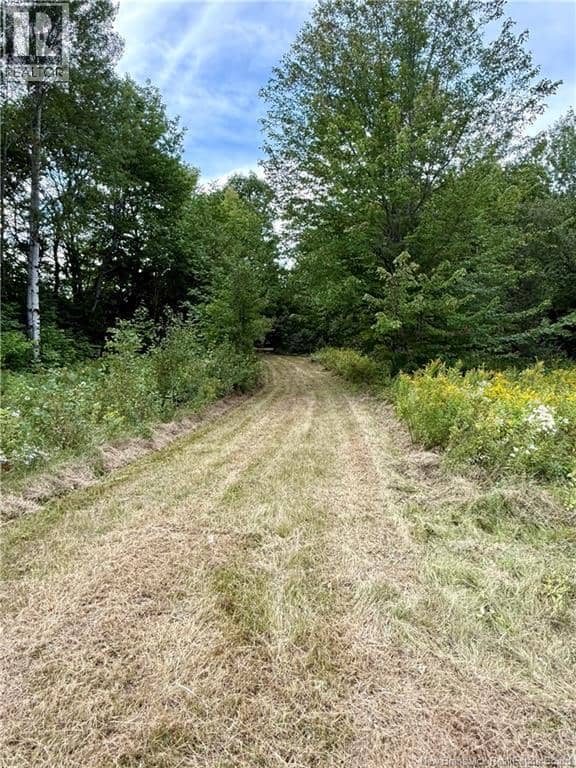 Camp & Lot Nortondale Road — photo 3 of 40