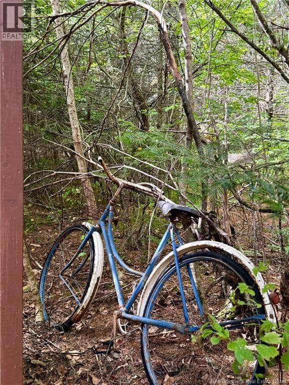Camp & Lot Nortondale Road — photo 37 of 40