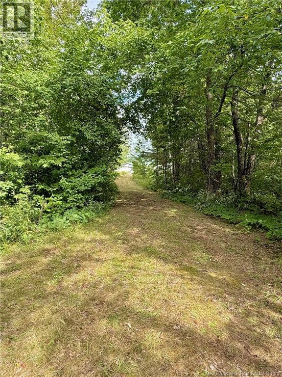 Camp & Lot Nortondale Road — photo 39 of 40