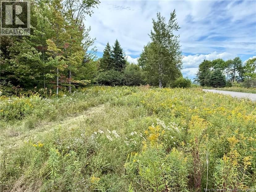 Camp & Lot Nortondale Road — photo 4 of 40