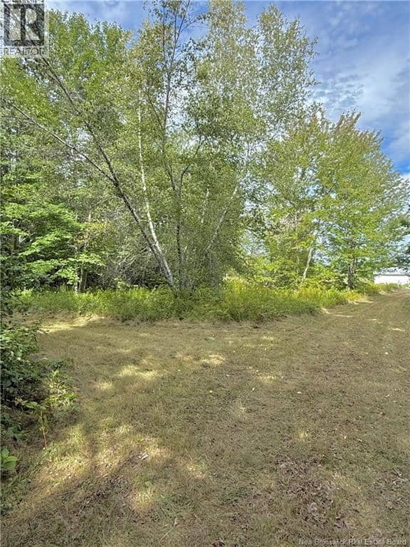 Camp & Lot Nortondale Road — photo 40 of 40